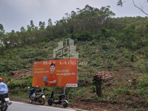 Bán đất lâm nghiệp Tam Nông Phú Thọ – 5313m² – Đối diện sân golf – Giao thông thuận tiện