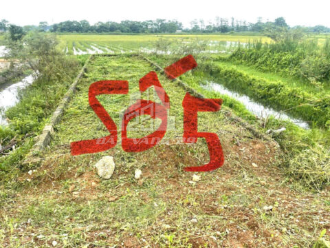 BÁN ĐẤT THỔ CƯ HOÀNG VĂN THỤ – CHƯƠNG MỸ – SỔ ĐỎ CHÍNH CHỦ – LK05 – S=100m