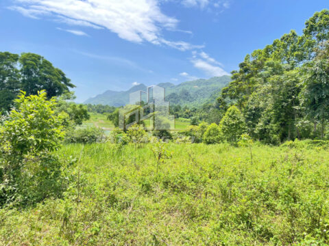 Bán đất đẹp Lạc Sơn Hòa Bình – 1800m² có 400m² thổ cư – Mặt tiền rộng ~30m – Sổ mới