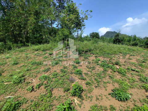 Bán đất Vũ Bình Lạc Sơn – 941.8m² có 200m² thổ cư – Sổ đỏ chính chủ – Đường bê tông rộng