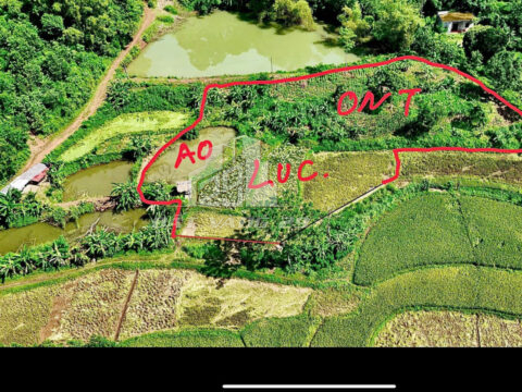Bán đất vườn Lạc Sơn Hòa Bình – 1185m² đất ở + vườn – Tặng 2400m² ao & ruộng – Ô tô vào tận nơi