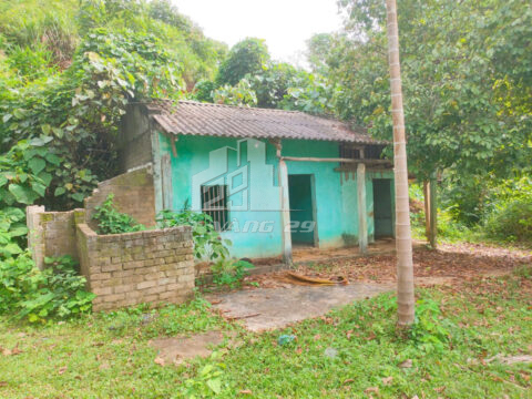 Bán đất trang trại Tân Minh Phú Thọ – 8ha có giấy phép chăn nuôi – Sẵn ao, suối