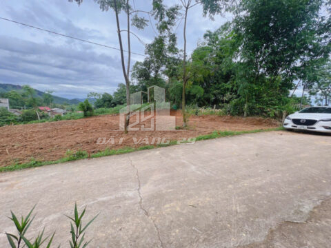 Đất thổ cư Võ Miếu Phú Thọ – 162.8m² – Đường rộng – Dân cư đông đúc