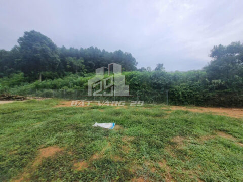 Bán đất Thanh Sơn Phú Thọ – 1200m² view đồng rộng – Cách tỉnh lộ 400m – Sổ hồng sẵn