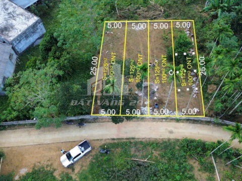 Bán Gấp Đất 125m² Tại Lương Sơn – Giá Rẻ Nhất Khu Vực – View Núi – Gần Trung Tâm Xã