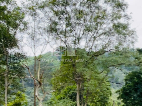 Bán đất Hòa Sơn Lương Sơn – 1521.2m² có thổ cư – Thế đất đẹp – Gần QL6