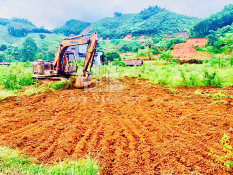 Bán Nhanh Lô Đất 313.3m² Tân Sơn Phú Thọ – View Đồi – Cách QL32 Chỉ 500m – Tiềm Năng Đầu Tư