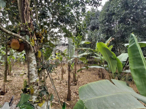 Bán Đất 222.3m² Gần QL6 Lương Sơn – Mặt Tiền 11.9m – Sổ Đỏ Chính Chủ – Gần Sân Golf