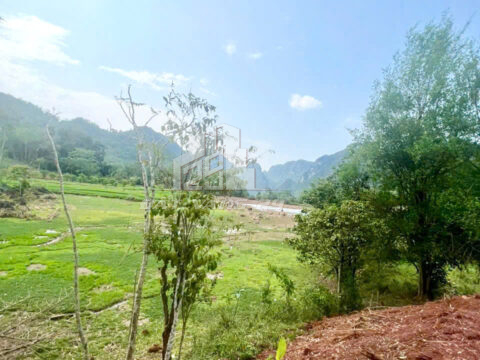 Bán Đất Xóm Giác Phú Vinh Tân Lạc – 2100m² – Có 400m² Thổ Cư – Bám Hồ – Gần Trường & Chợ