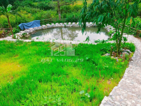 Bán Đất Có Nhà Sàn Tân Lạc Hòa Bình – 900m² – Ao Cá – 2 Mặt Tiền – View Cực Đẹp