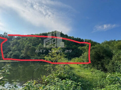 Bán Lô Đất Bám Hồ Mỹ Lung – 2.600m² Đất Rừng – View Đẹp – Phù Hợp Làm Trang Trại