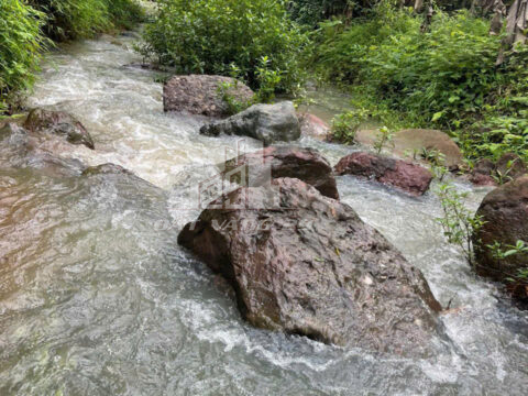 Bán Đất Viềng Pế Mai Châu – 1500m² Có 300m² Thổ Cư – Bám Suối – Gần Khu Nghỉ Dưỡng Avana