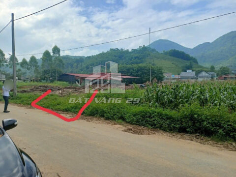 Bán Đất Trung Tâm Tân Sơn Phú Thọ – 119m² – Mặt Tiền 5.3m – Đường 16m – Gần UBND