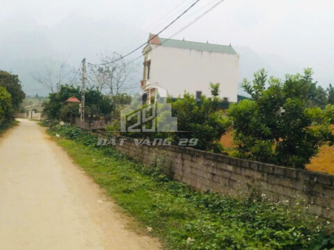 Bán Đất Lỗ Sơn Tân Lạc – 500m² Có 100m² Thổ Cư – Trồng Bưởi – Gần QL12B – Đường Rộng Ô Tô Tránh