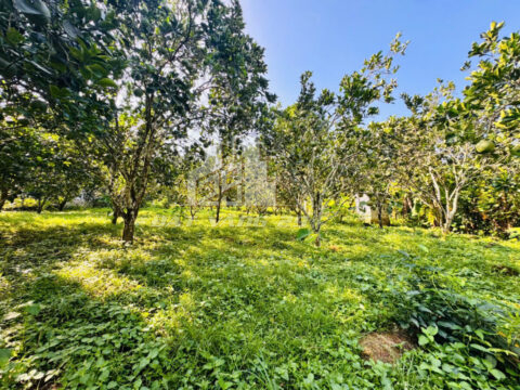 Bán Đất Thượng Tiến Kim Bôi – 500m² Full Thổ Cư – Bám Cánh Đồng – Gần Trung Tâm Hành Chính