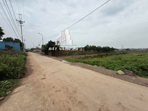 Bán Đất Vân Côn Hoài Đức – 462m² Đất Trồng Cây – Bám Đường Liên Xã – Sổ 50 Năm!