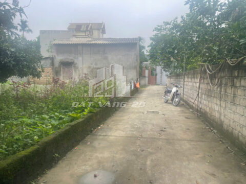 BÁN ĐẤT YÊN KIỆN ĐÔNG SƠN CHƯƠNG MỸ – Giá Rẻ -S=120m²