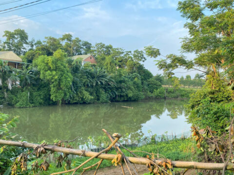 Bán đất ở Việt Trì – 98,2m² – 60m² Thổ Cư – Gần Trung Tâm – View Ao Cực Đẹp