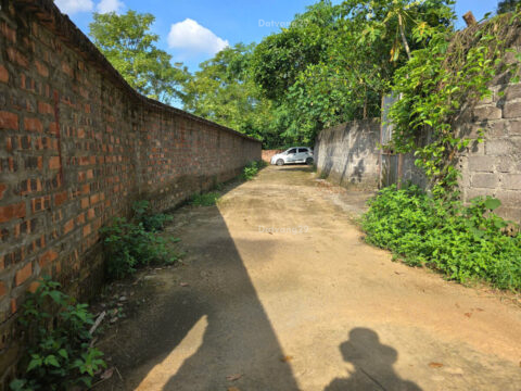 Bán đất thổ cư Thụy Vân Phú Thọ – 100m² – Gần KCN – Phù Hợp Ở & Kinh Doanh