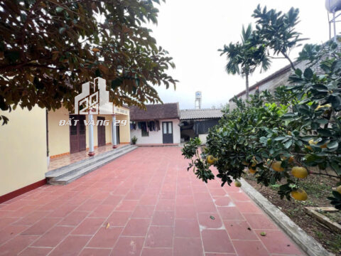 Bán Đất Lô Góc Yên Trình – 104,3m² – 2 Mặt Thoáng – Ô Tô Đỗ Cửa – Sẵn Sàng Xây Ở!