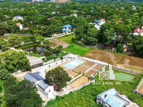 Bán Nhà Nghỉ Dưỡng Hòa Bình – 1.300m² – Nhà Cấp 4 Mới – Gần Đường Liên Huyện!