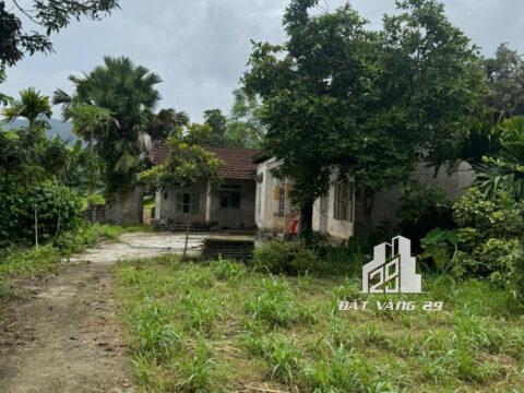 Bán Đất Nghỉ Dưỡng Minh Hoà – 1.100m² – Có Ao & Suối – Gần QL70 – View Đồng Tuyệt Đẹp!