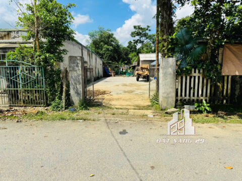 Bán Đất Thượng Long Yên Lập – 350m² – Có 50m² Thổ Cư – Mặt Tiền Rộng – Đường Nhựa 8m