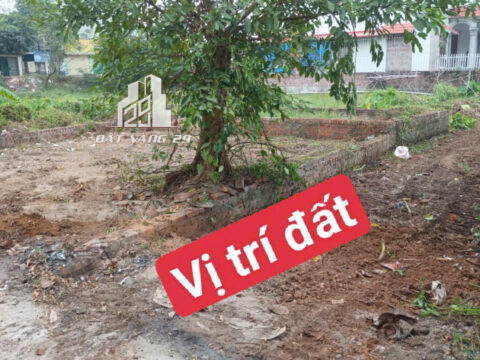 Bán Đất Phụng Châu Chương Mỹ – 76,5m² Vuông Vắn – Gần Đường Lớn – Sổ Sẵn!