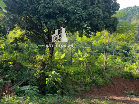 Bán Đất Thành Phố Hòa Bình – 1850m² (400m² Thổ Cư) – Sát KCN & Dự Án Lớn – View Cao Thoáng!