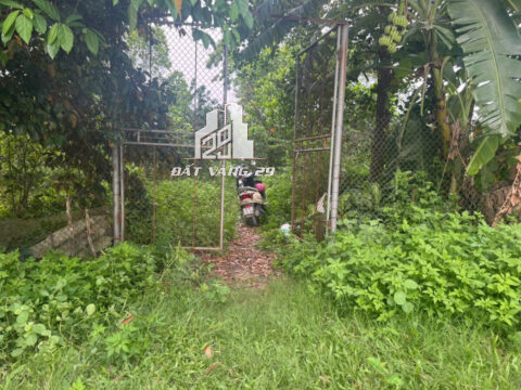 Bán đất ao vườn Đỗ Động – Thanh Oai – Hà Nội | 3.749m² đã có nhà – Sổ sẵn – Full tiện ích