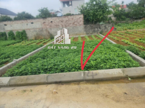 Bán đất Thanh Bình Chương Mỹ – 73,7m² – Ô tô vào đất – Gần QL6 – Sổ sẵn!