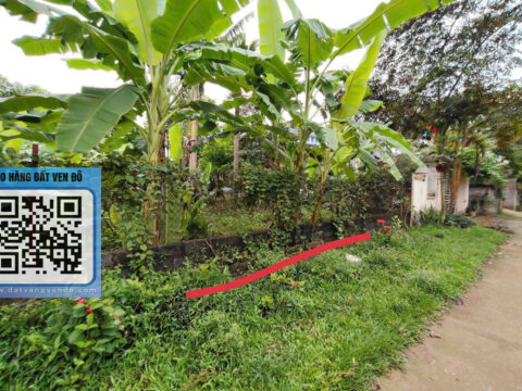 Bán Đất Nhuận Trạch Lương Sơn – Có 83m² Thổ Cư – Cách KCN Chỉ 200m – Sổ Sẵn!  S=225m²