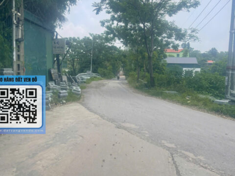 BÁN ĐẤT PHỤNG CHÂU CHƯƠNG MỸ – FULL THỔ CƯ – GIÁ SIÊU RẺ – S=123,1M²