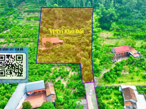 Bán Gấp Đất Yên Dương Tam Đảo – View Đồng – Lưng Tựa Núi – Có 1.600m² Sổ Đỏ!   S=3.700m²