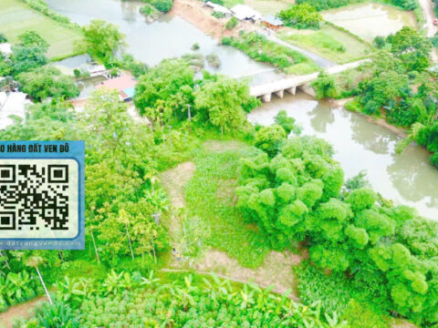 Bán Lô Đất Nghỉ Dưỡng Toàn Thắng Tân Lạc – Thế Đất Cao – View Sông & Đồng Tuyệt Đẹp!   S=2314m²