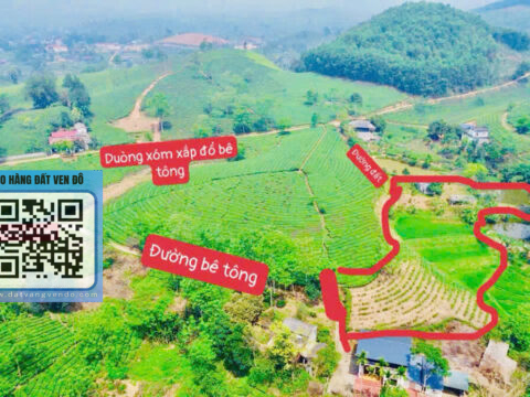 Bán Đất Nghỉ Dưỡng Mỹ Thuận – Có Ao, Có Ruộng, Có Thổ Cư S=3000m²