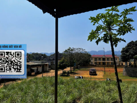 Bán Đất Ngọc Mỹ Tân Lạc – Có 500m² Thổ Cư – 2 Mặt Tiền – Sẵn Nhà & Vườn Bưởi!   S=1050m²