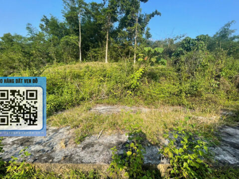 Bán Đất Nghỉ Dưỡng Đà Bắc – View Hồ – Bám Suối 100m – Có 200m² Thổ Cư!  S=5000m²