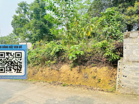 Bán Đất An Phú Mỹ Đức – (250m² ONT) – Đất Vuông Vắn   S=355,1m²