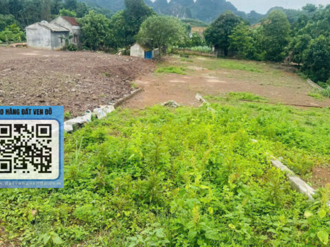 Bán Đất An Nghĩa Phú Thọ – 75m² Thổ Cư – Trung Tâm Thị Trấn   S=122,6m²