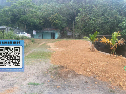 Bán Đất Mặt Quốc Lộ 21A Lạc Thủy – Vị Trí Đắc Địa Trung Tâm Ba Hàng Đồi!   S=808m²