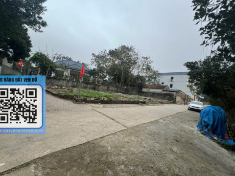 Bán Đất Đông Sơn Chương Mỹ – Gần QL6, Vị Trí Kinh Doanh!   S=43,8m²