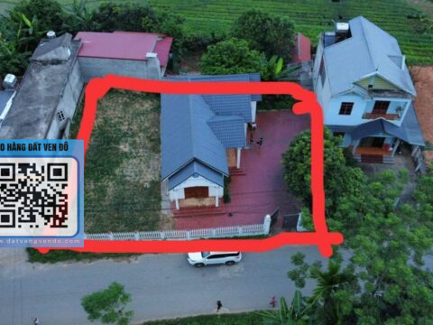 Bán Đất Tân Sơn Phú Thọ – Mặt Tiền 28m – Tặng Nhà Vườn – Kinh Doanh Đỉnh!  S=531,6m²