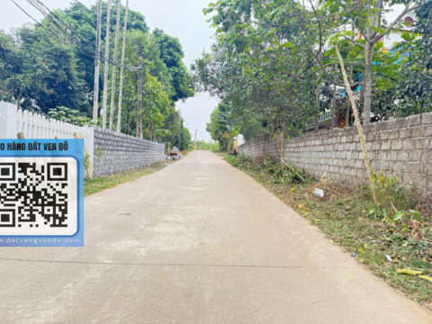 Bán Đất Cao Dương Lương Sơn – Full Thổ Cư – Mặt Tiền 7m – Ô Tô Tránh!   S=118,2m²