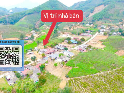 Bán Đất Mỹ Thuận Phú Thọ – Bám Đường Nhựa Rộng – Dân Cư Đông Đúc!   S=304,6m²