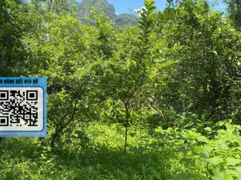 Bán Đất Lạc Thủy Hòa Bình – Đường Liên Xã – Không Khí Trong Lành!   S=1.175m²