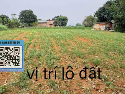 Bán Đất Phú Thành Lạc Thủy – (100m² Thổ Cư) – Gần Khu Cáp Treo S=1008m²