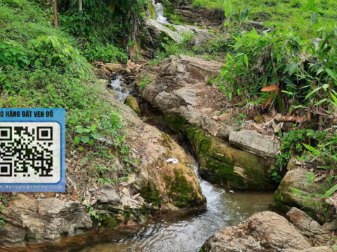 Bán Đất Vũ Bình Lạc Sơn – (500m² Thổ Cư) – Có Suối Chảy Trong Đất!   S=2.799m²