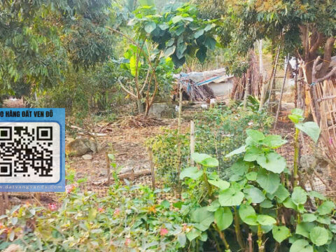 Bán Đất Kim Lập Kim Bôi – (710m² Thổ Cư) – Đất Vuông Vắn, Nở Hậu Đẹp!   S=5.000m²