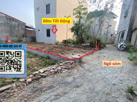 Bán Đất Tốt Động Chương Mỹ – Trung Tâm, Kinh Doanh Tốt – Sổ Đỏ Sẵn!   S=60m²